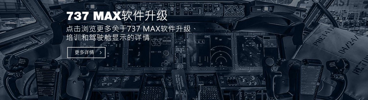 737 Max Software