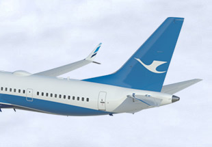 Xiamen Airlines