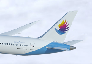 Donghai Airlines