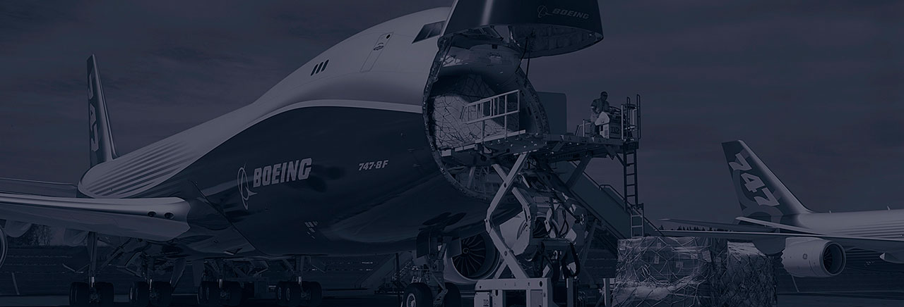 World Air Cargo Forecast