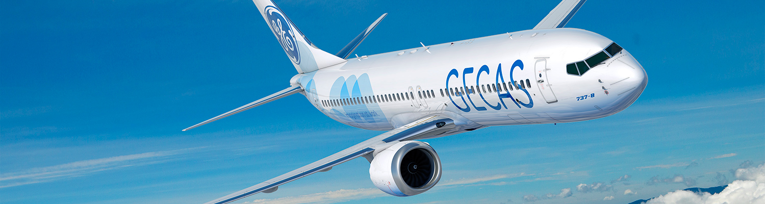 GE Capital Aviation Services 737 MAX 8