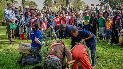 Boeing deepens its roots in Washington &ndash; one tree at a time
