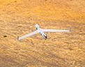 ScanEagle