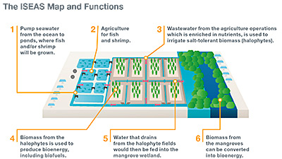 BTJ: Aviation Initiatives and CO2 Emissions
