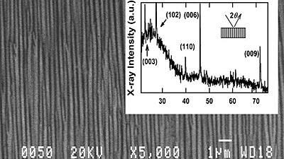 BTJ: Ultra-Low Light Level Photoresponse in Thermoelectric Nanowire Arrays