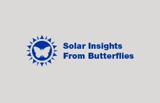 Solar Insights From Butterflies