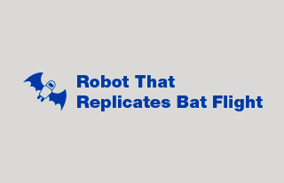 Robot that replicates bat flight