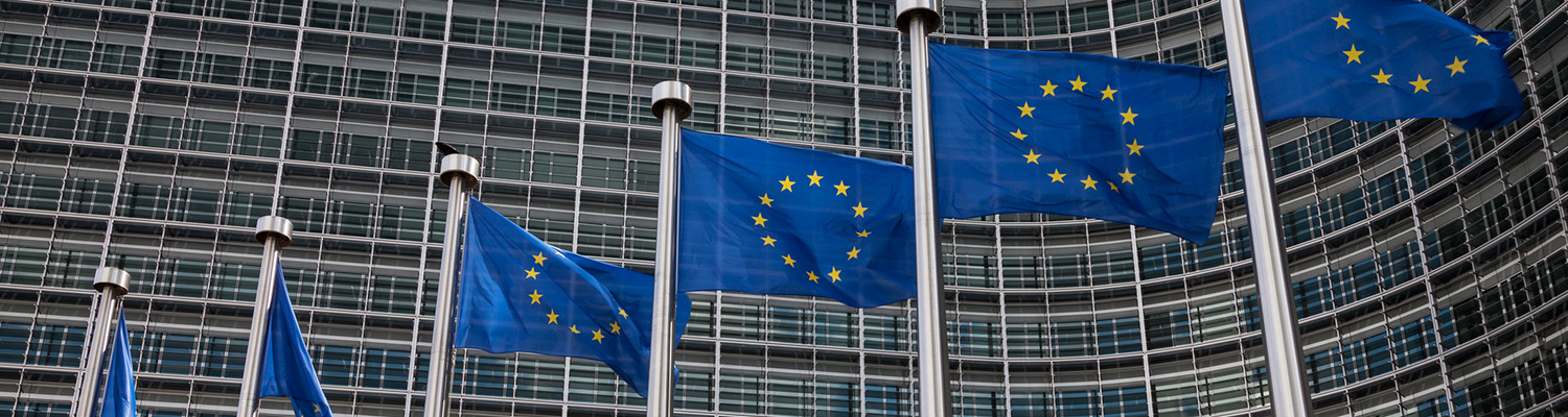 Row of European Union flags.