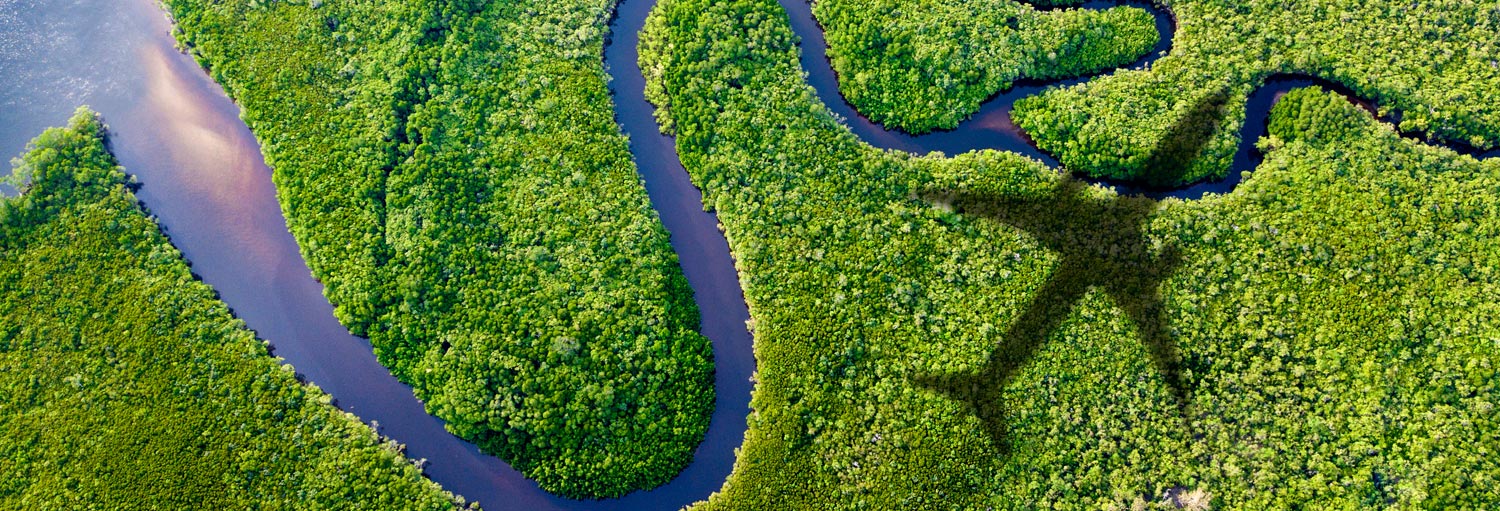 Aerial picture of forest river and the shadow of a Boeing airplane.