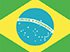 Brazil flag