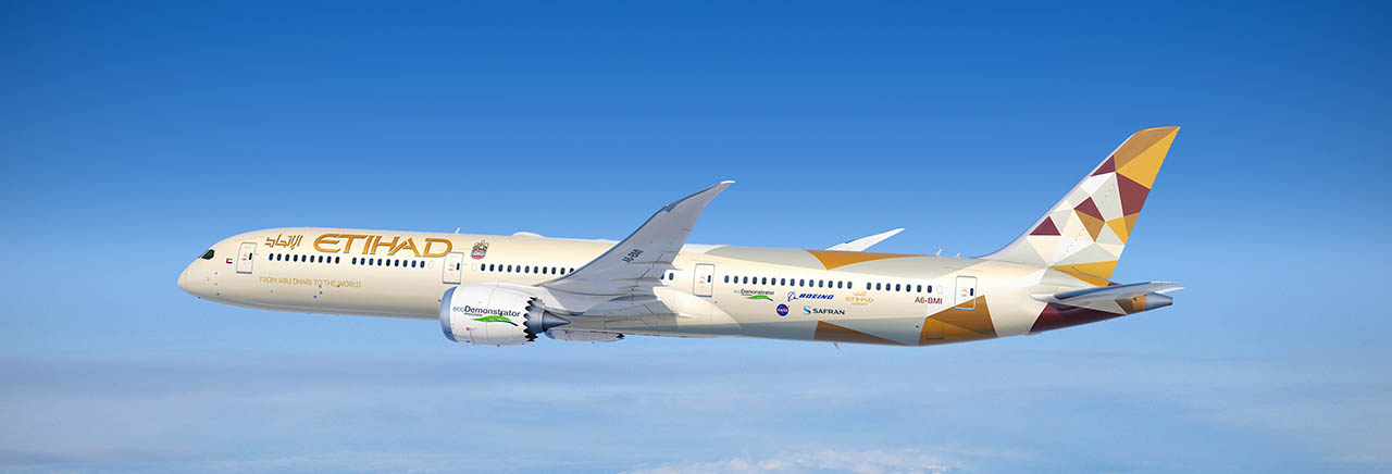 ecoDemonstrator flying by Mount Rainer