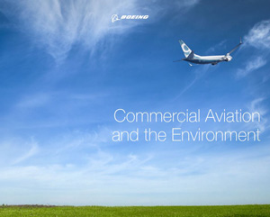 787 Dreamliner in flight