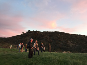 biologists walking in field