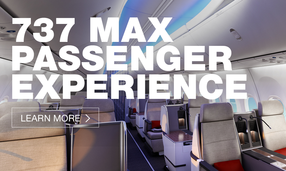 737 MAX Design Highlights