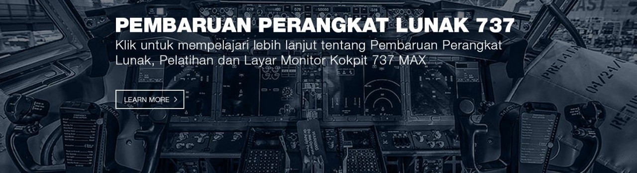 737 Max Software