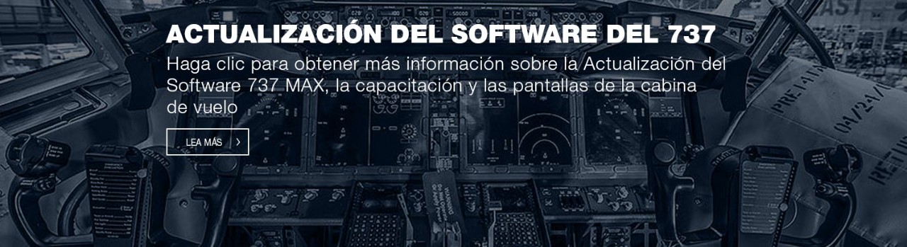 737 Max Software