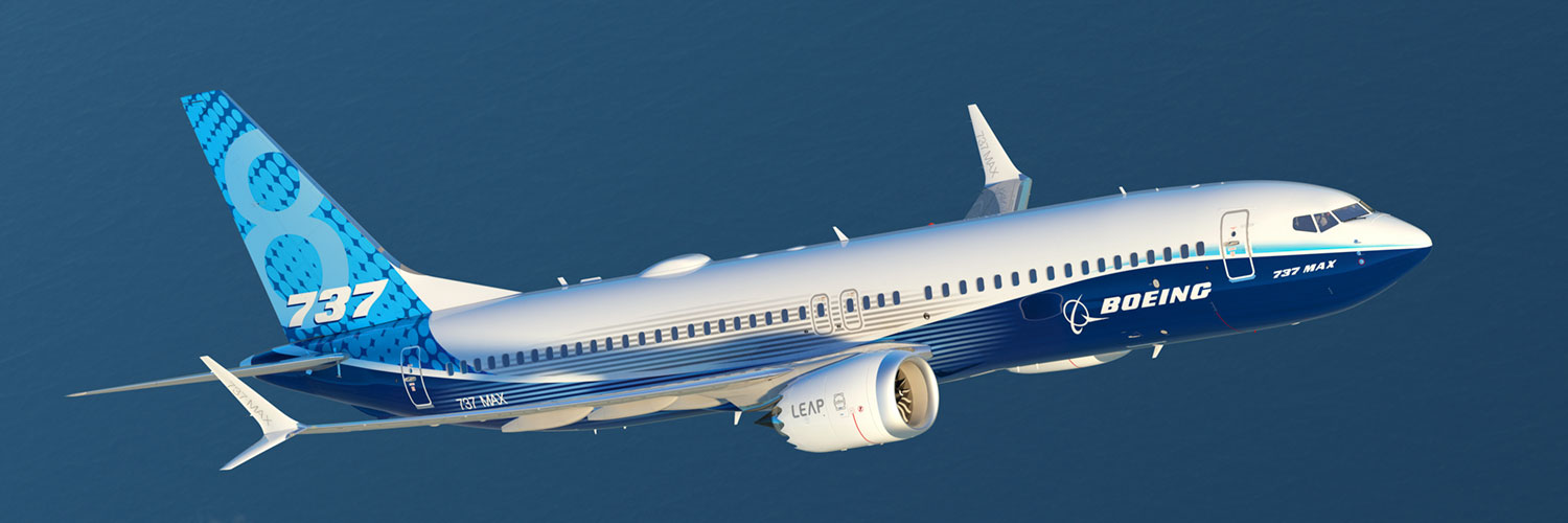 737-8 flight