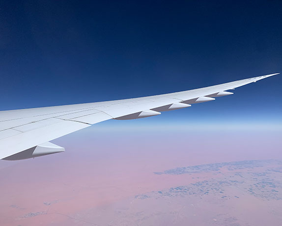 Diagram of smooth wing structure