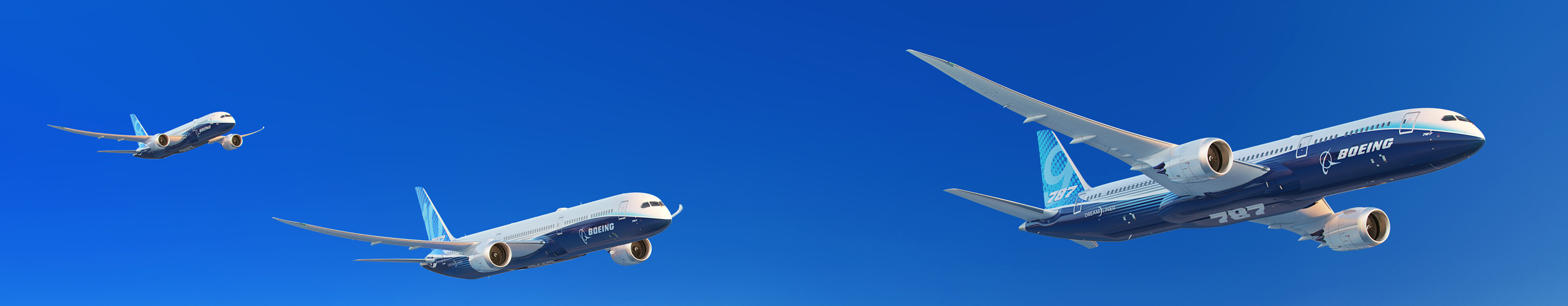787 Dreamliner Family flying together in a clear blue sky.