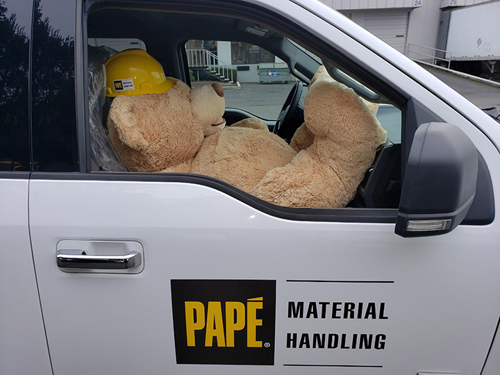 Teddy bear riding in Pape Company truck.