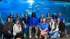 Aquarium group