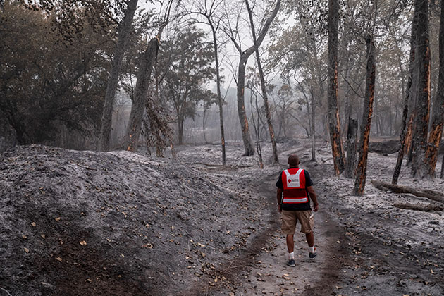 American Red Cross worker surveying fire damage.