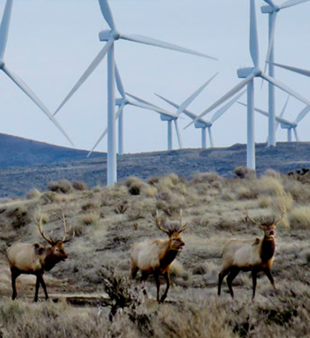 Boeing; Boeing Test and Evaluation; Flight Test; ecoDemonstrator, ecoD, 787-10, ZC069, Etihad Airways, technology demonstrator, product development, NASA, Group photos