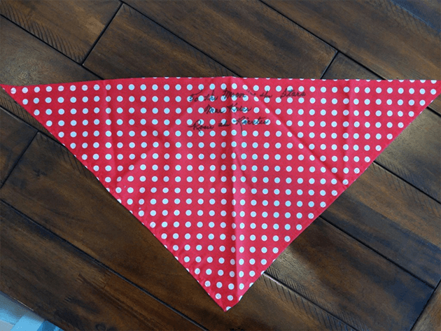 Rosie the Riveter bandana.