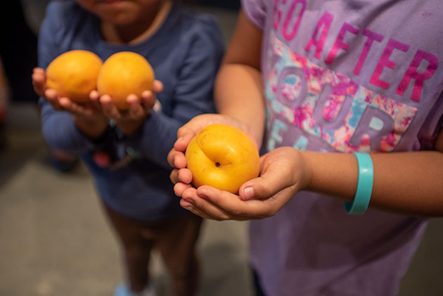 Children holding fruit.