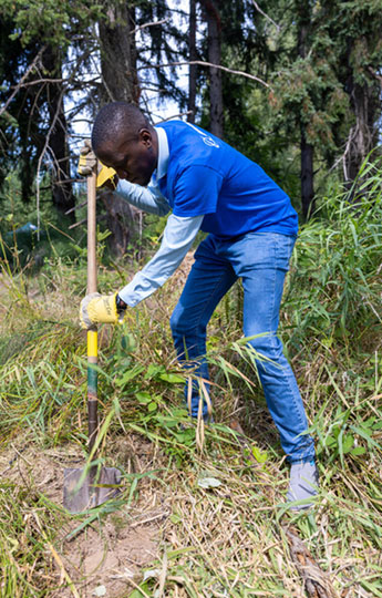Kevin Owino, based in Dubai, removes blackberry bushes at Lake Sammamish State Park.