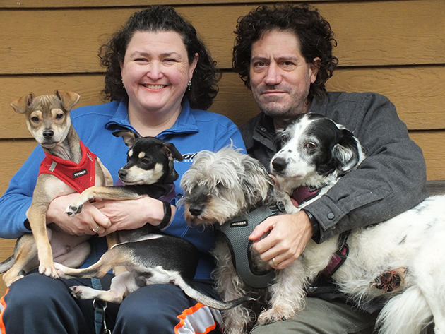 Angelie Vincent and husband Brian pictured with their four dogs.