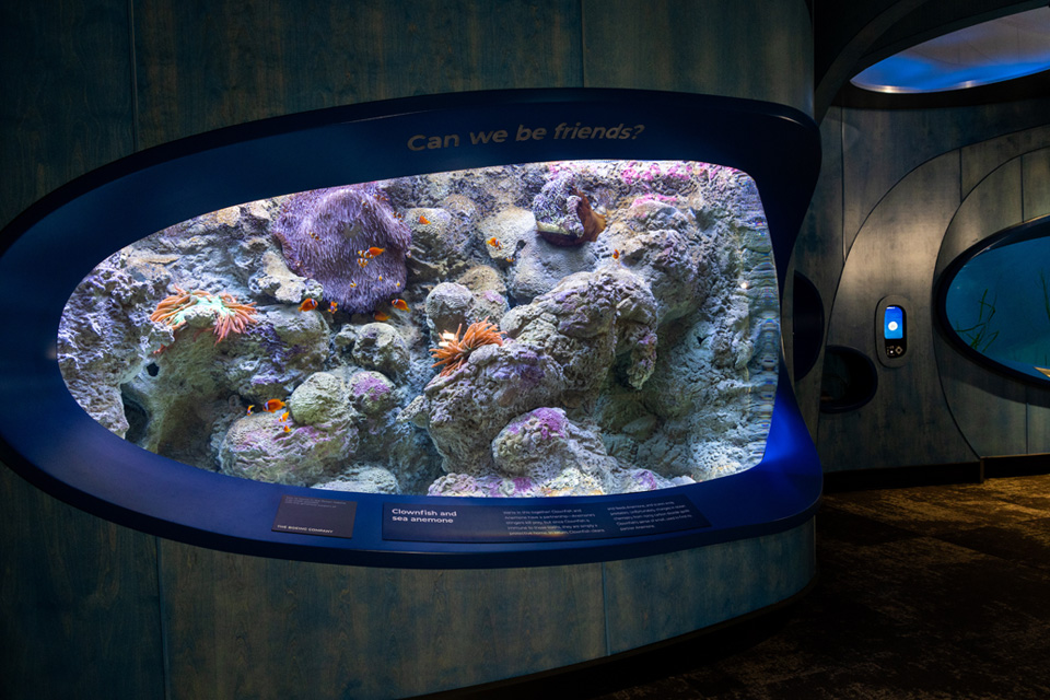 Seattle Aquarium expansion opens with Boeing support