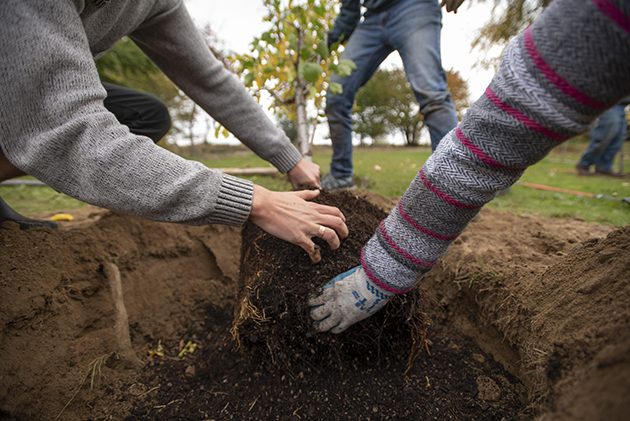 Volunteers plant trees at Green Tacoma Day