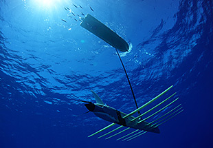 Picture undersea view of Wave Glider.
