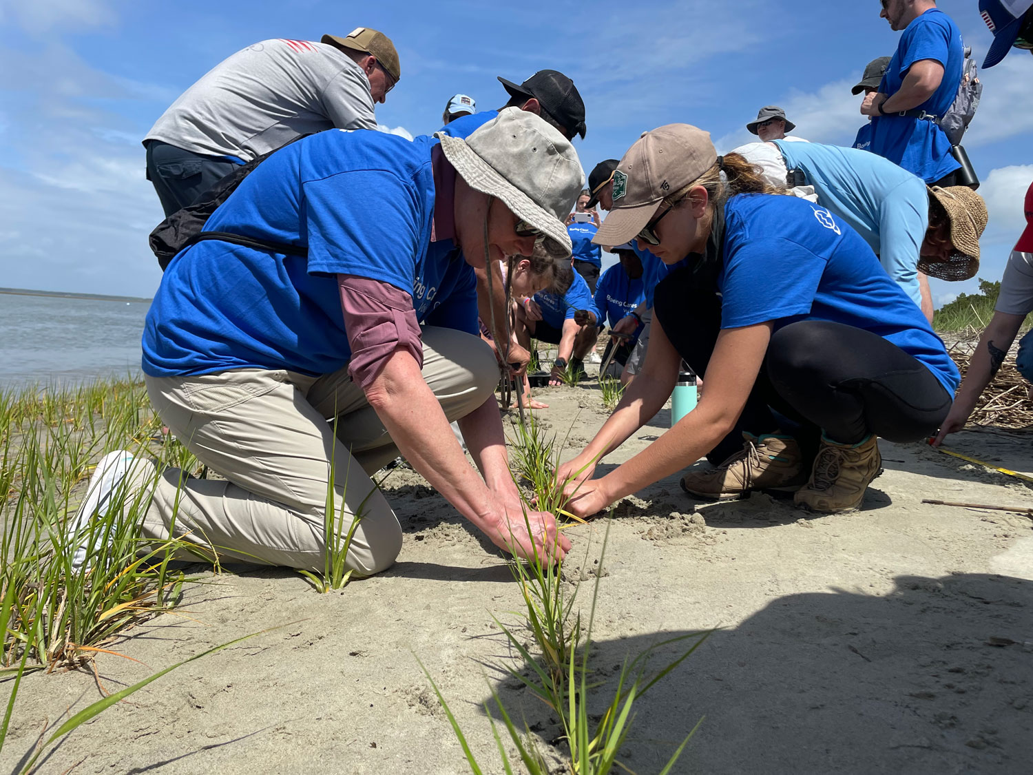 Boeing employees in South Carolina, in partnership with Coastal Expeditions Foundation, helped plant sprigs of the indigenous smooth cordgrass, which will create a more resilient shoreline in the face of rising water levels.