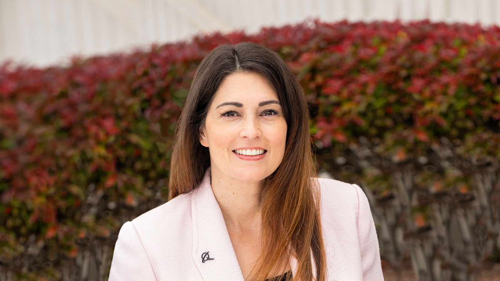 Carrie Spiker software engineering Boeing Technical Fellow
