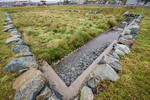 Stormwater biofilter.