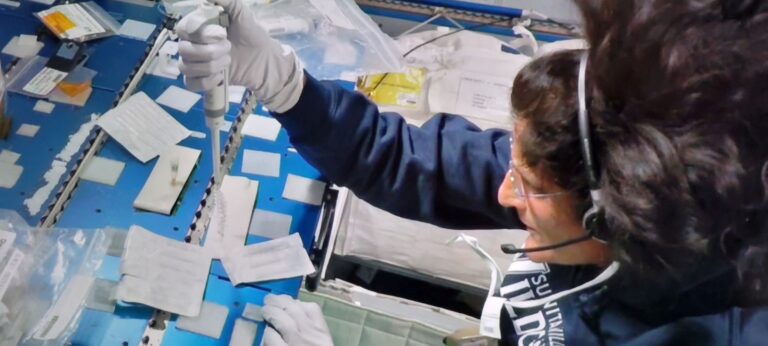 Suni Williams supports the Genes in Space Molecular Operations and Sequencing, or GiSMOS, experiment on June 12.