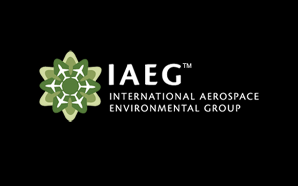 Logo for the International Aerospace Environmental Group