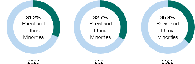 U.S. Race/Ethnicity graph