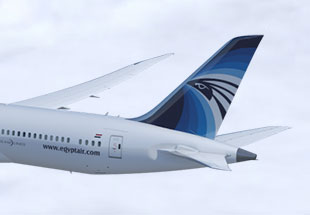 EGYPTAIR 787 tail