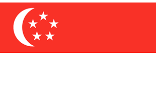 Singapore flag