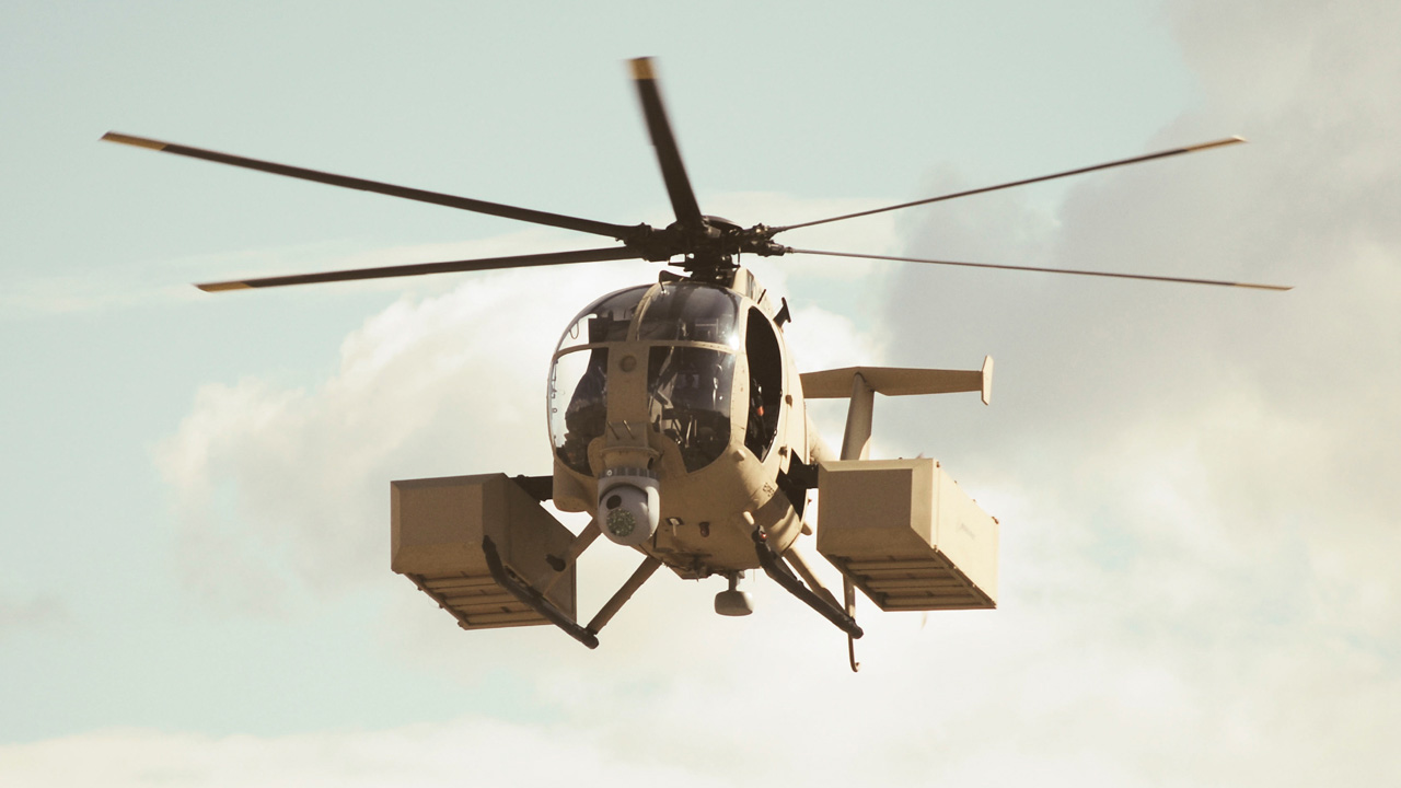 Picture of the Little Bird in flight.