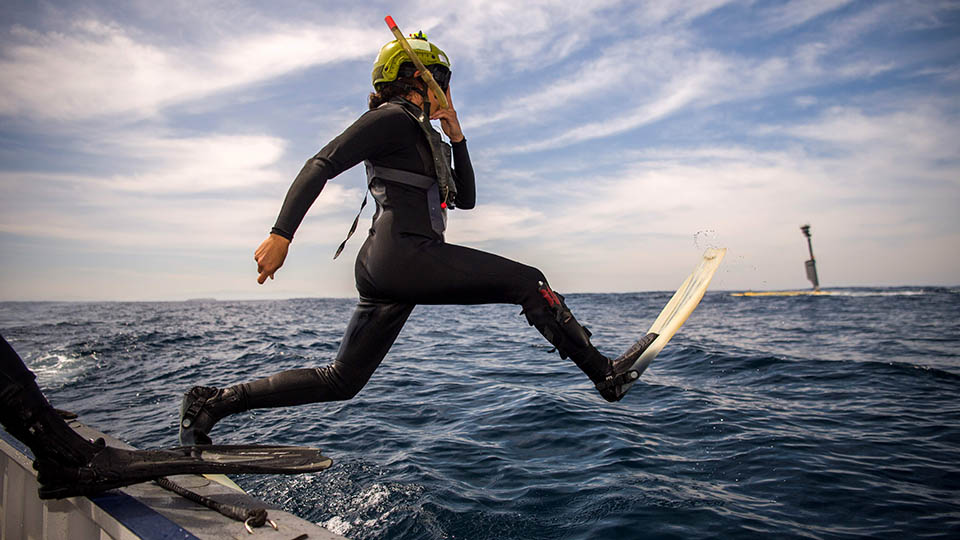 Diver enters water inpects autonomous submarine