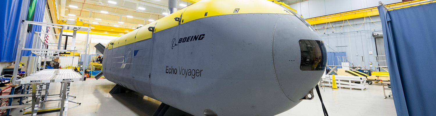Picture of the Boeing Echo Voyager.