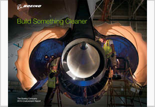 2015 Environment Report