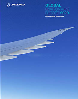 2020 Environmental Report companion summary