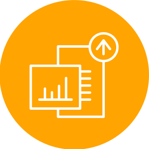 document icon