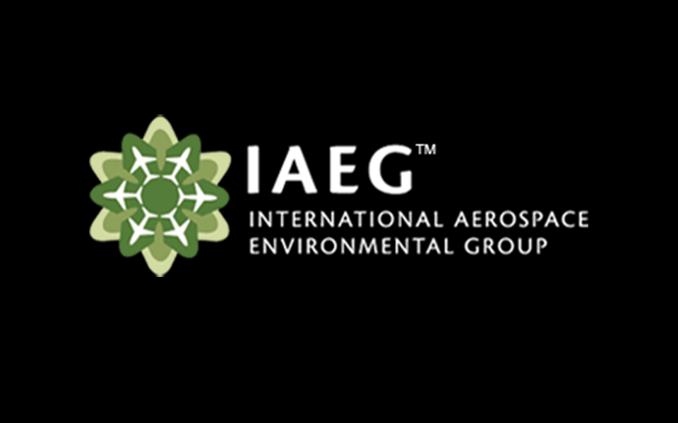 Boeing is a founding member of the International Aerospace Environmental Group, developing a standard approach to supply chain environmental issues and innovative solutions for the aerospace industry.