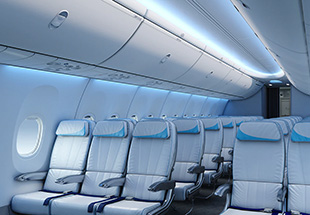 Interior of plane